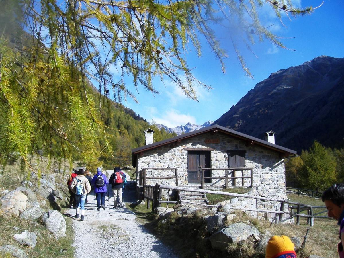 Хостел Casa Del Parco Dell'Adamello Di Вецца-д'Ольйо Екстер'єр фото