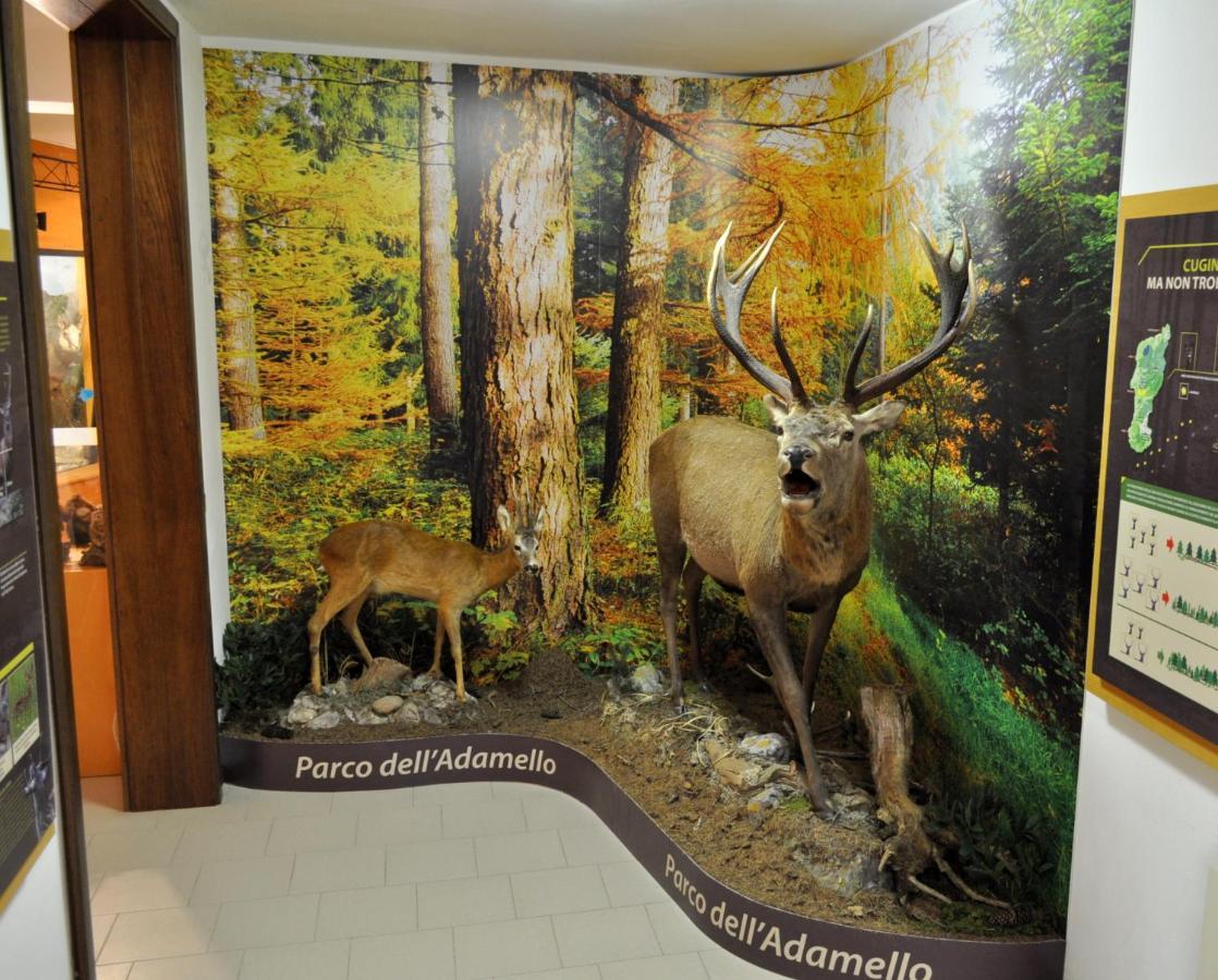 Хостел Casa Del Parco Dell'Adamello Di Вецца-д'Ольйо Екстер'єр фото